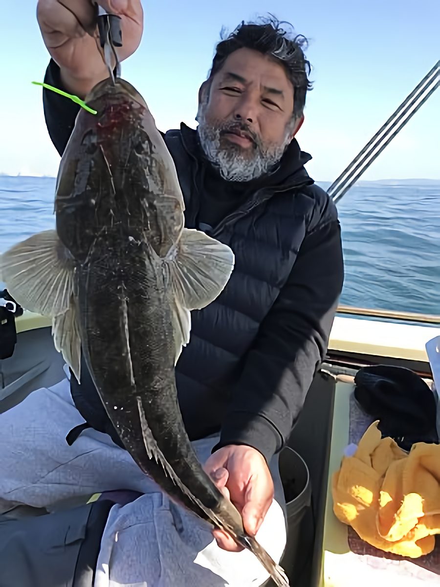 東京湾コチ釣り成果 3月終わり 夫婦での釣行 釣針製造 釣具 卸の株式会社はりよし