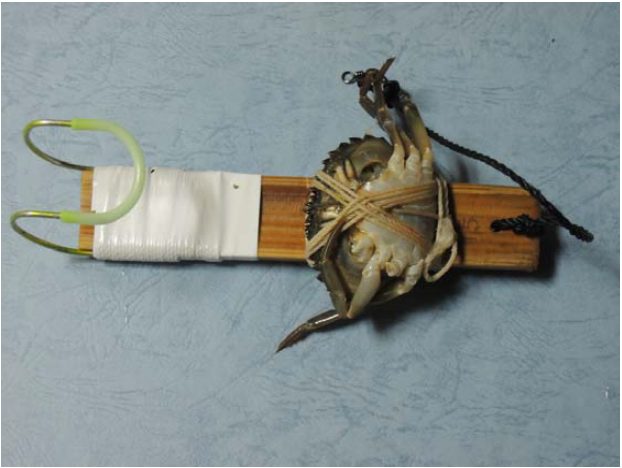 横浜のタコ釣り名人が教える テンヤ仕掛けの作り方 タコの釣り方 釣針製造 釣具 卸の株式会社はりよし