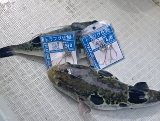 新製品情報　強靭×繊細「トラフグ仕掛」
