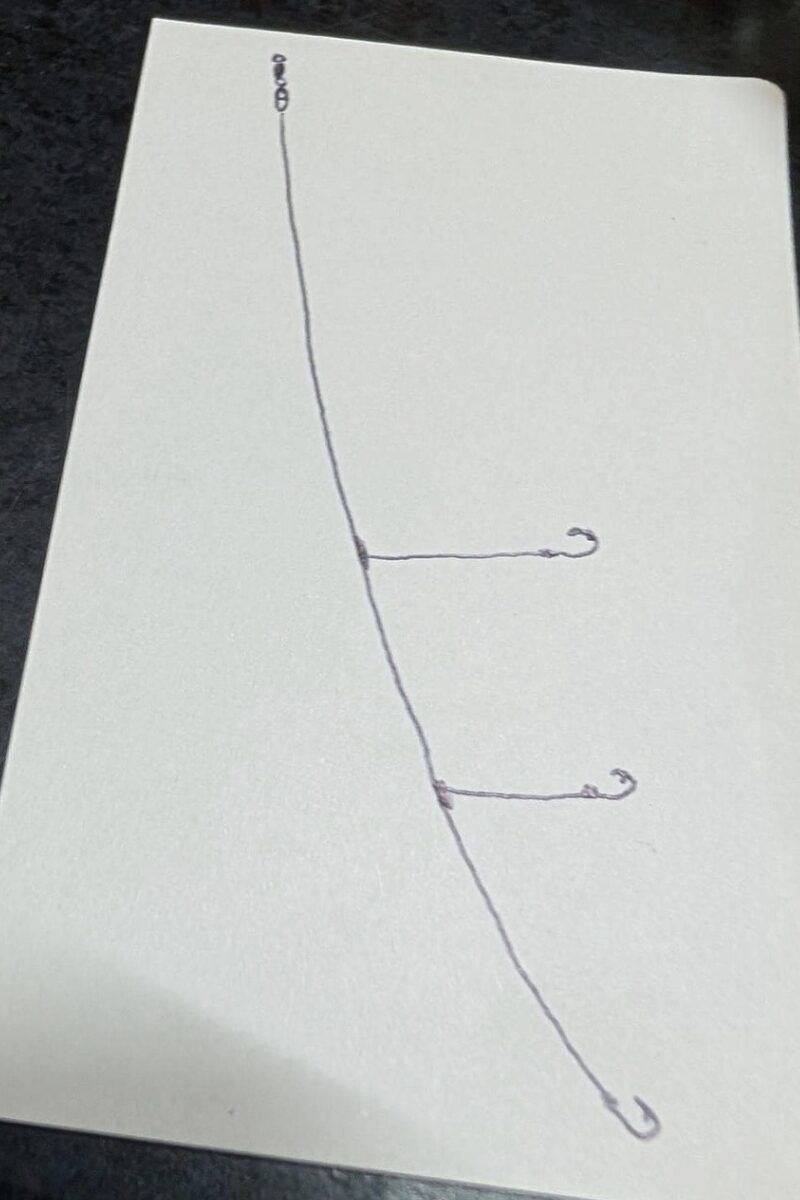 2本針仕掛のイメージ図