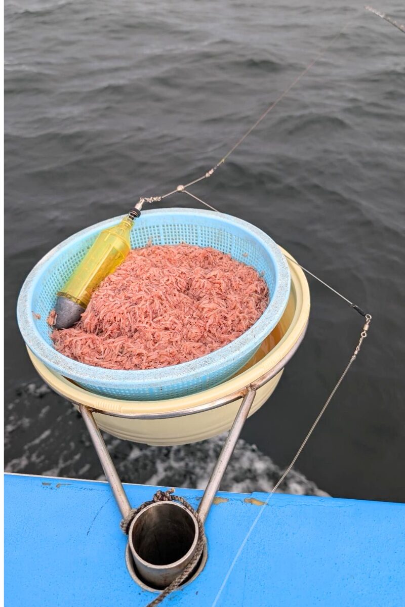 船べりのコマセ桶に入れたオキアミとプラスチックのビシ